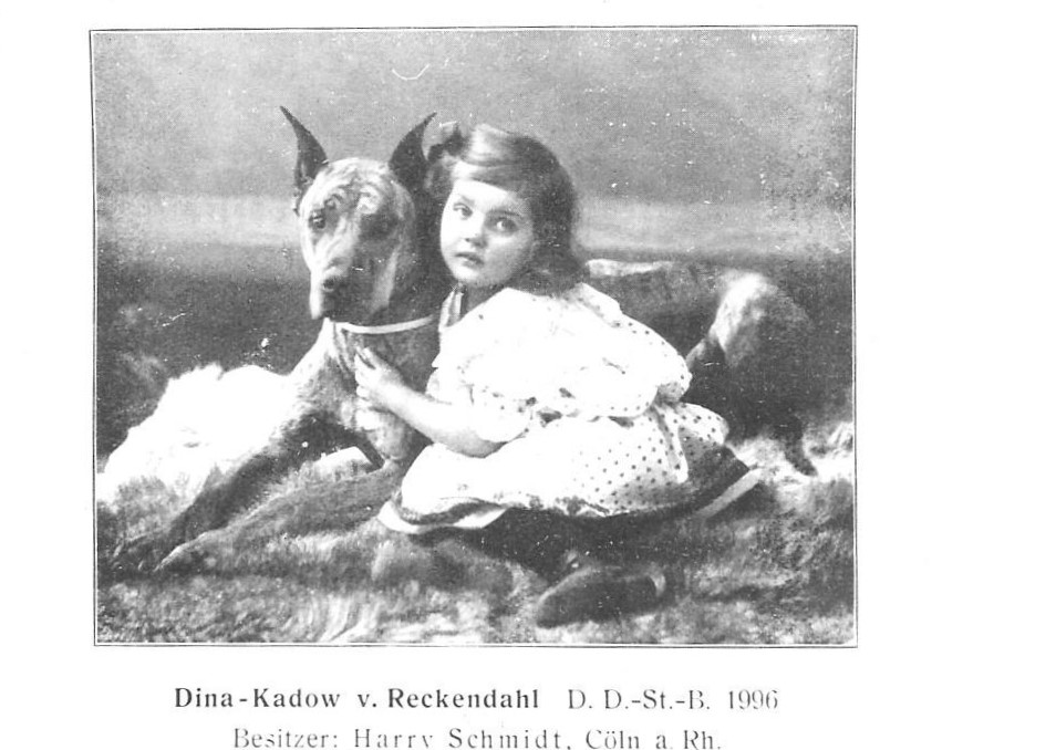Dina-Kadow v Reckendahl